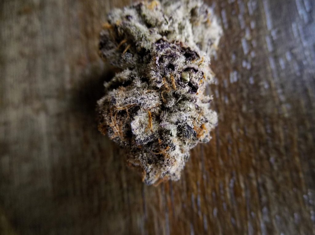 Purple Punch Buds at Smoke on The Mountain